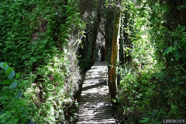 Những điểm đến th&uacute; vị ở Đồng Th&aacute;p